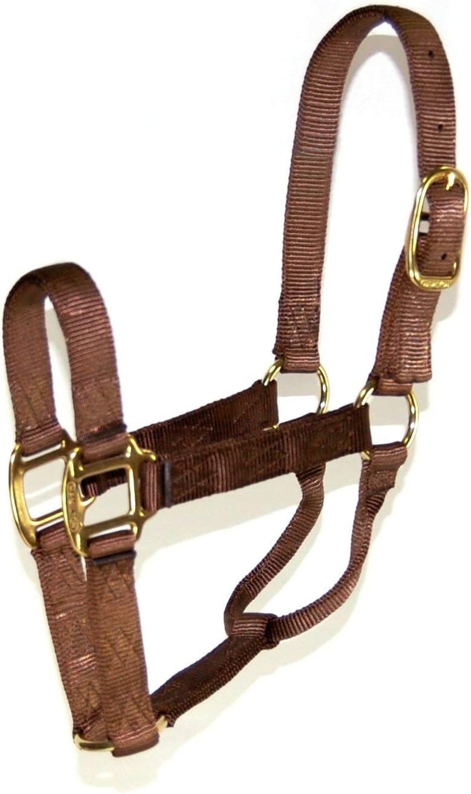 Hamilton Quality Horse Halter, 1" Triple Ply Nylon, Average Horse, Arabian, o...