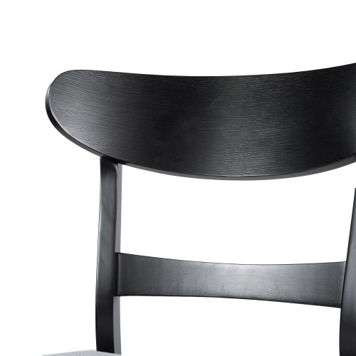 DINING CHAIR Set Of 2,MID-CENTURY DESIGN,comfortable seating