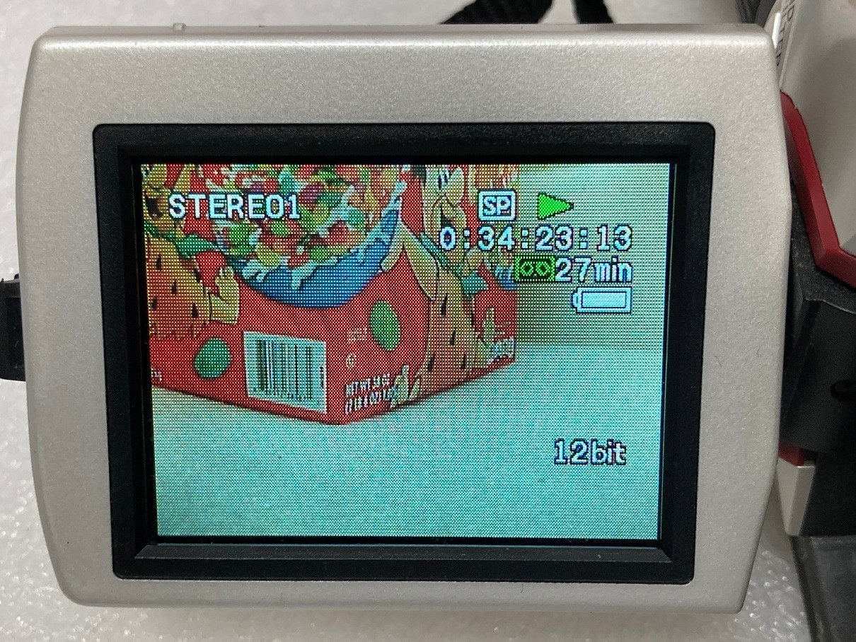 Canon Mini DV Camcorder GL1