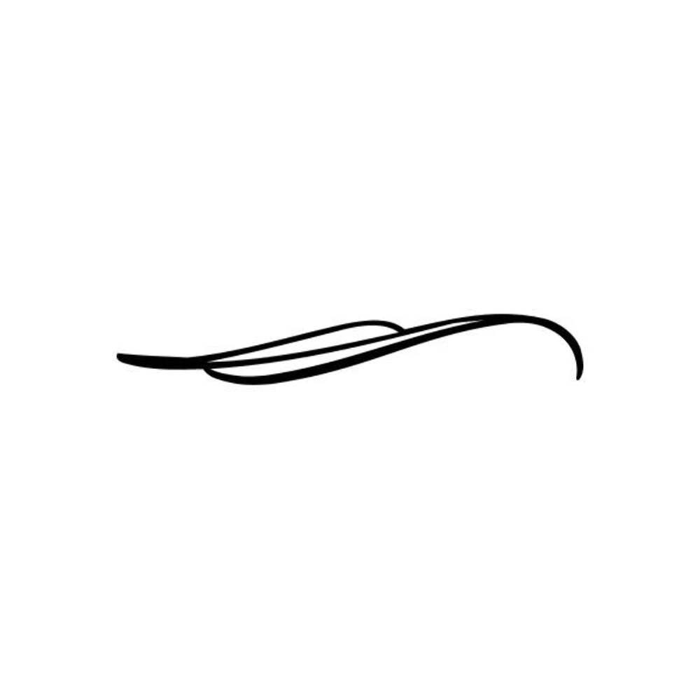 Pinstripes pin stripes lines Car Window Vinyl Decal | Die Cut Vinyl Decal