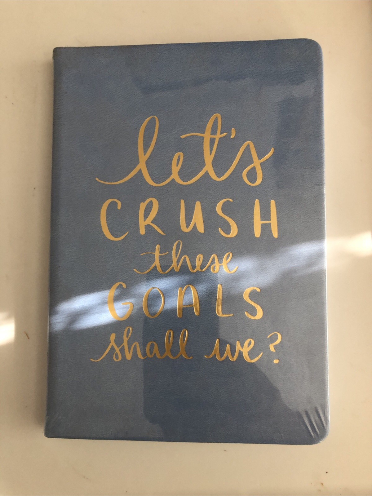 Eccolo Dayna Lee Collection Periwinkle 'Let's Crush These Goals' Notes Book 8x6