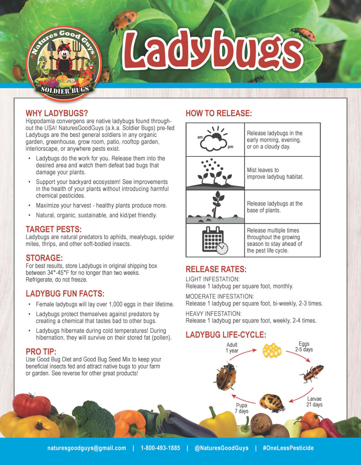 NaturesGoodGuys - Live Ladybugs - General predators