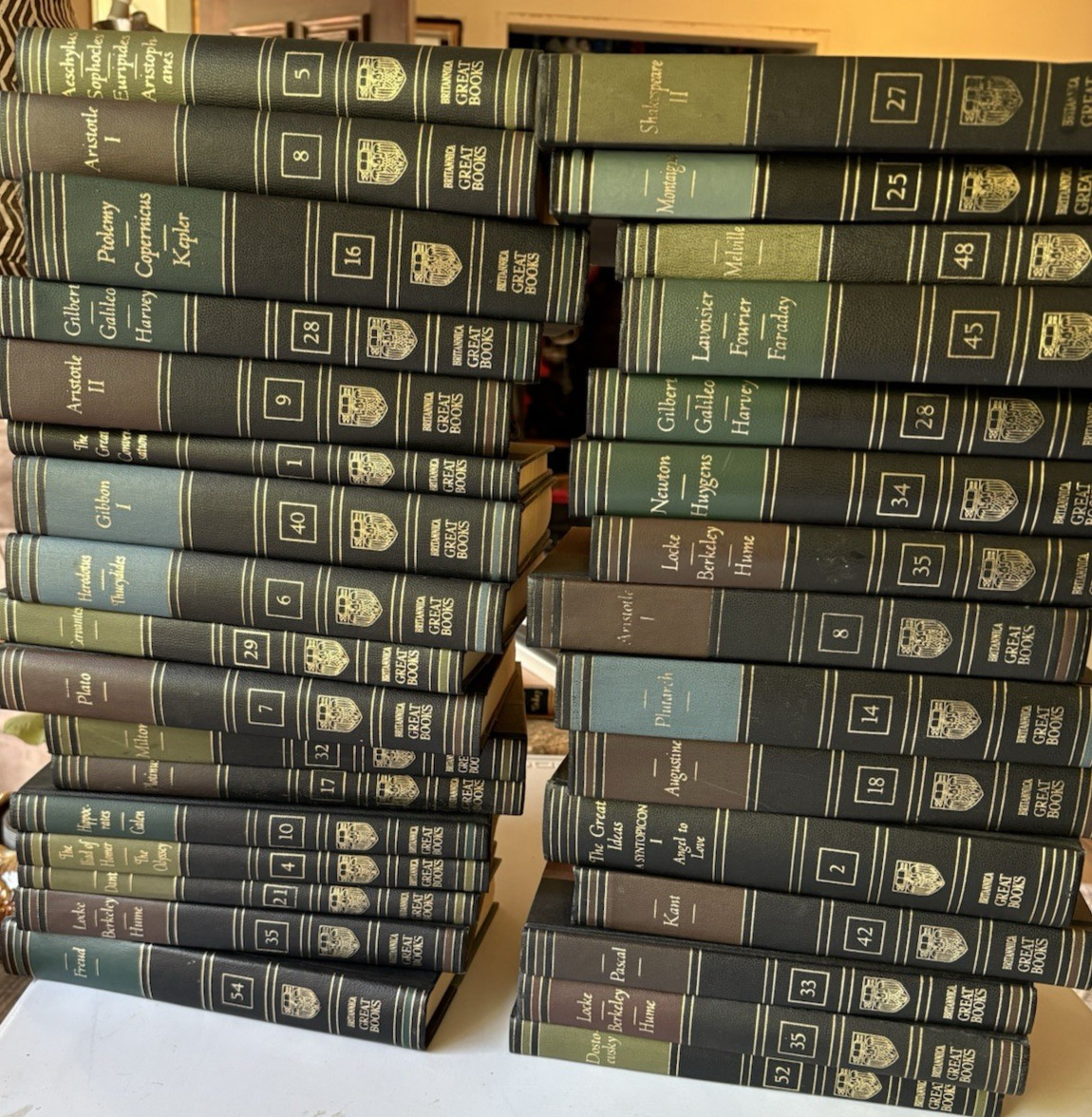 Great Books Western World Britannica Hardcover - Buyer Chooses - Classic Vintage