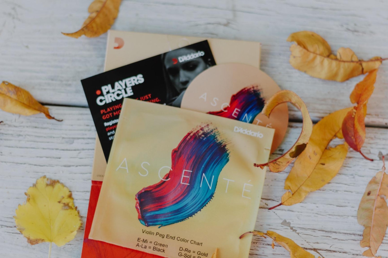 D'Addario New Ascente Violin String A312 1/8M Synthetic Core Medium Tension