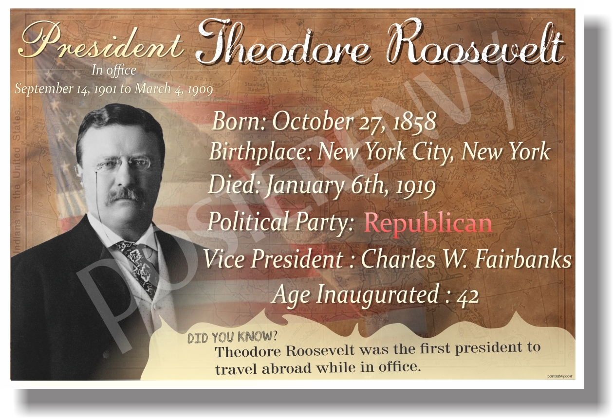 Presidential Series - Theodore Roosevelt - NEW Famous U.S. President POSTER