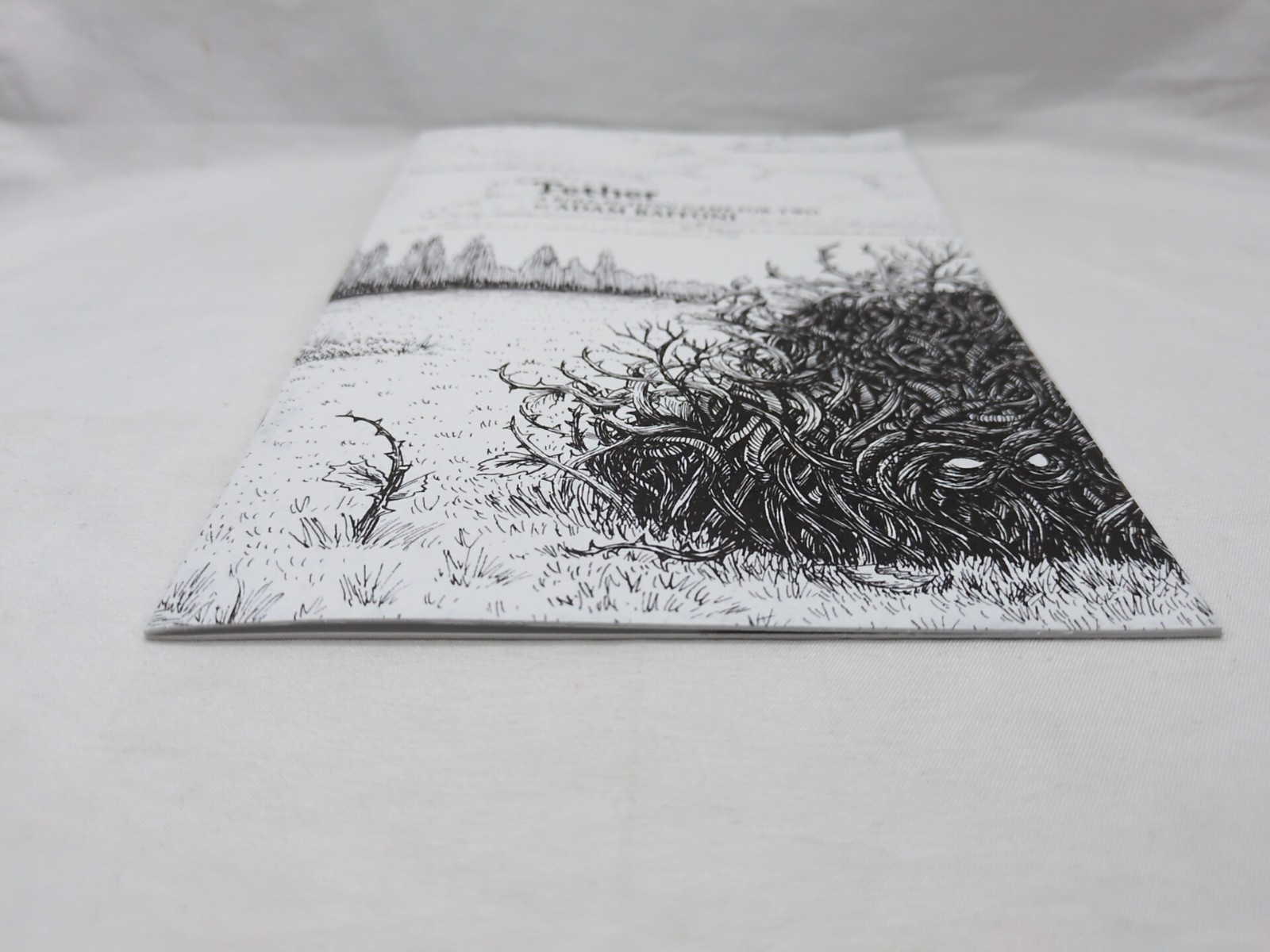 Tether A Role-Playing Game For Two Adam Baffoni Booklet