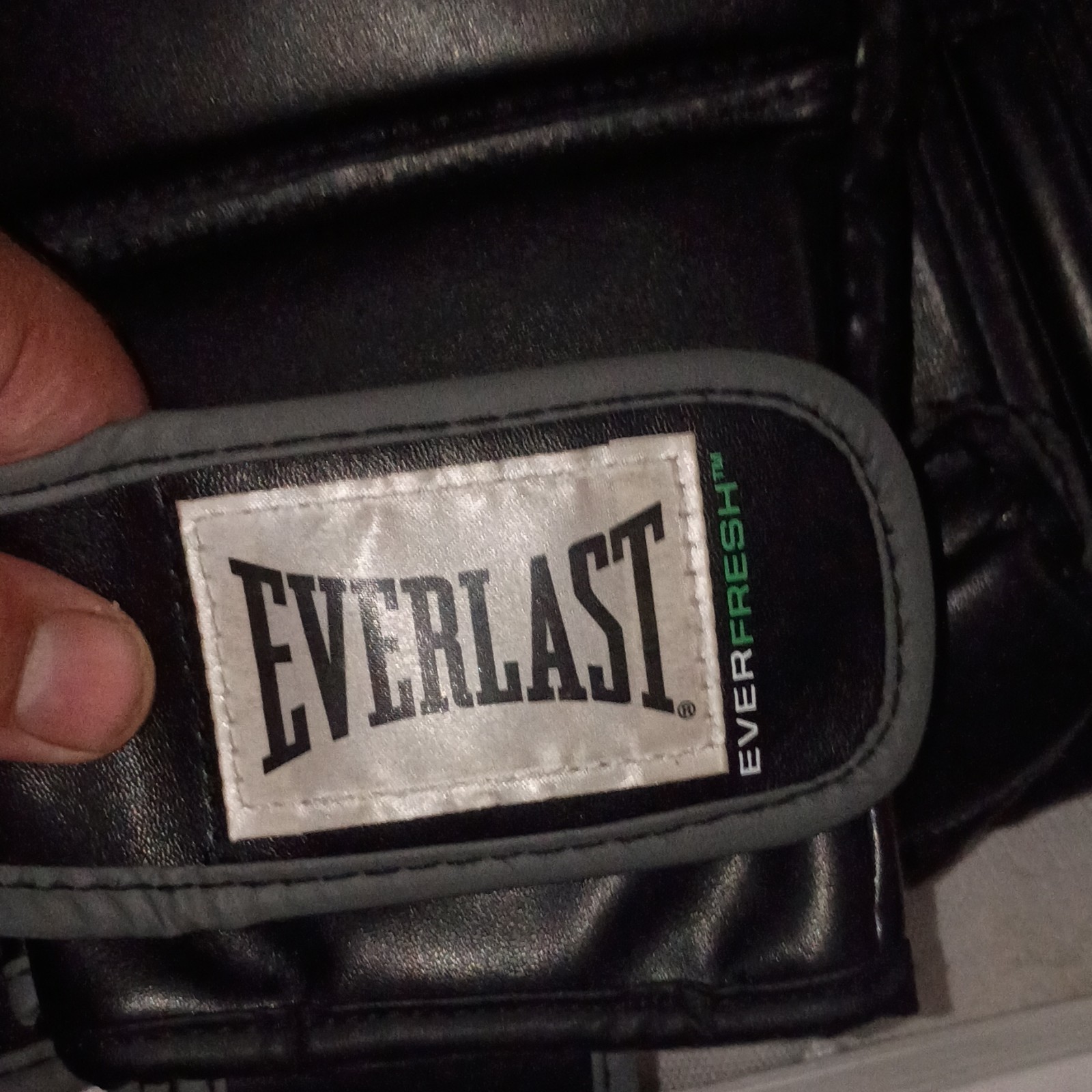 Everlast MMA training n sparing gloves