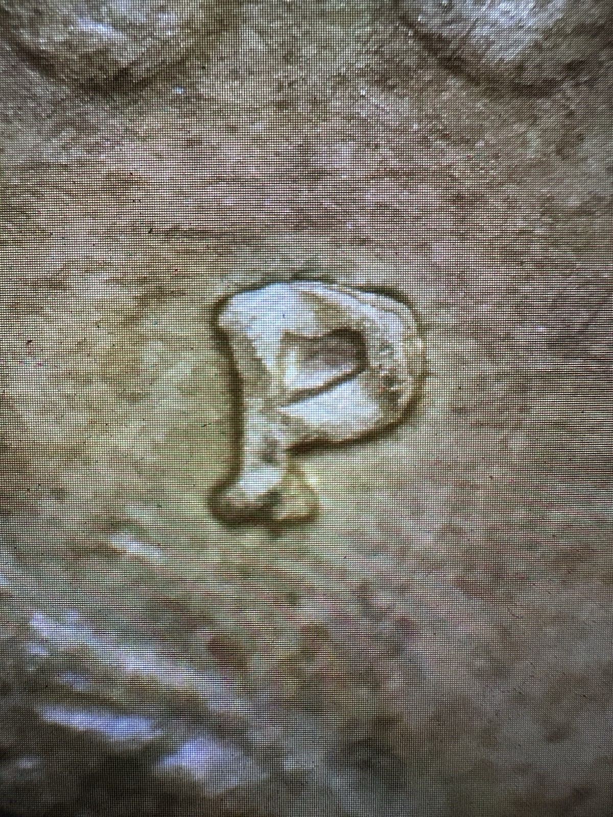 Rare 2000 P Sacagawea One Dollar Coin Lamination Error