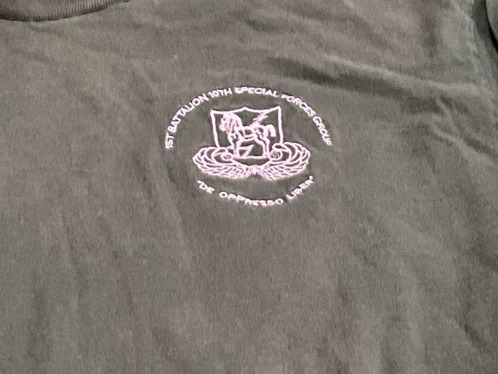 1st Bn 10th Special Forces Group TROJAN HORSE Unit Long Sleeve T-Shirt Sze Large