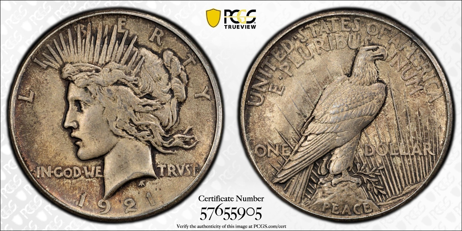 1921 High Relief Peace Silver Dollar - PCGS MS 64 - Gold Shield