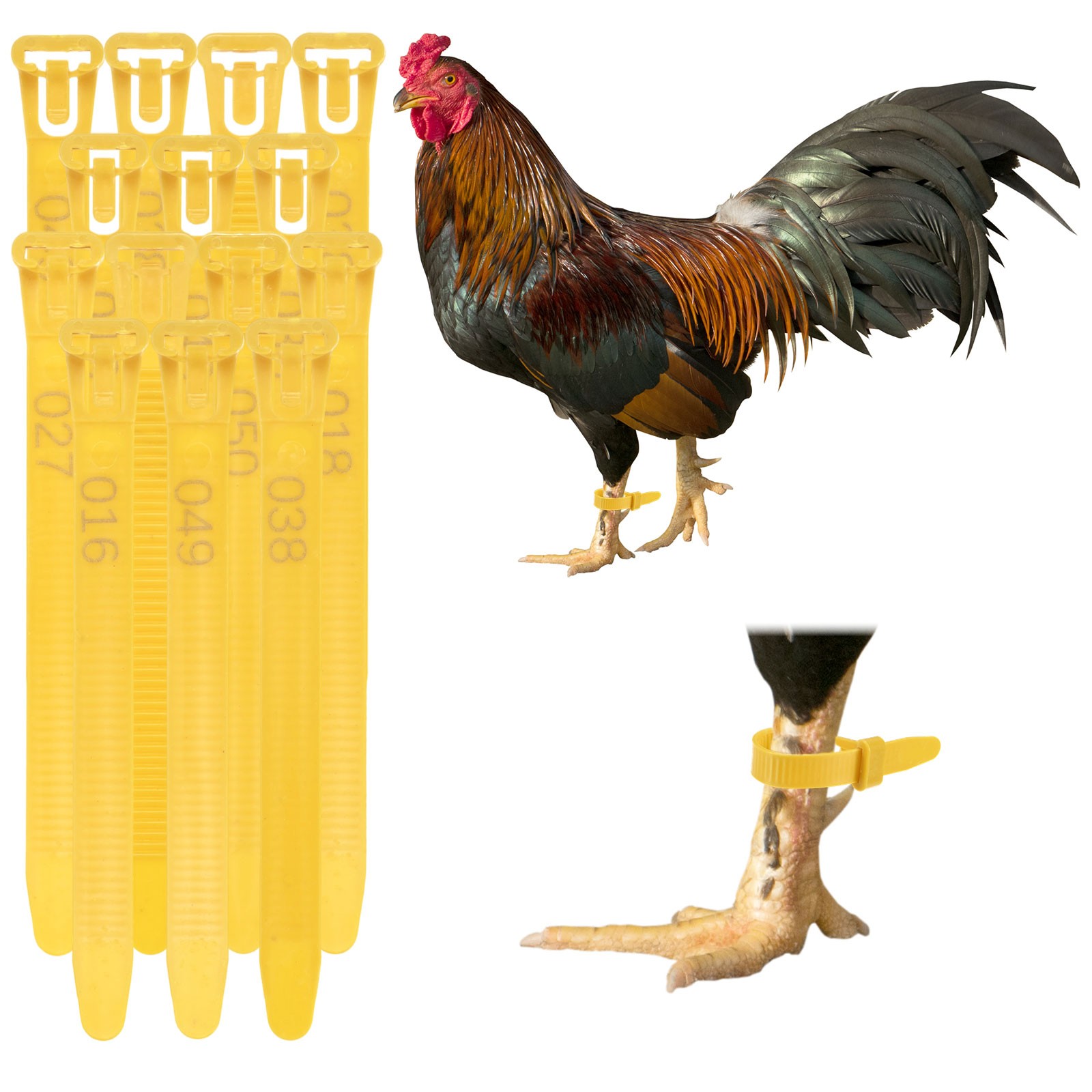 100-Pack Adjustable Chickens Leg Bands, 10-28 mm Plastic Leg Rings [Yellow]