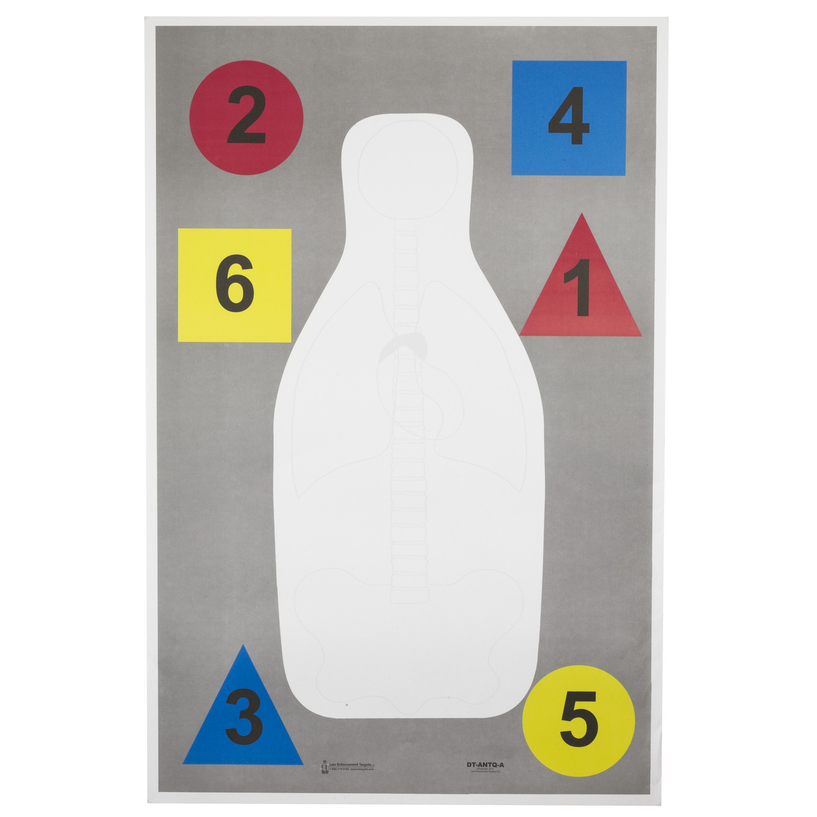 Action Target FBI-Q Anatomy Command Training Multipurpose Target 23x35 100 Pack