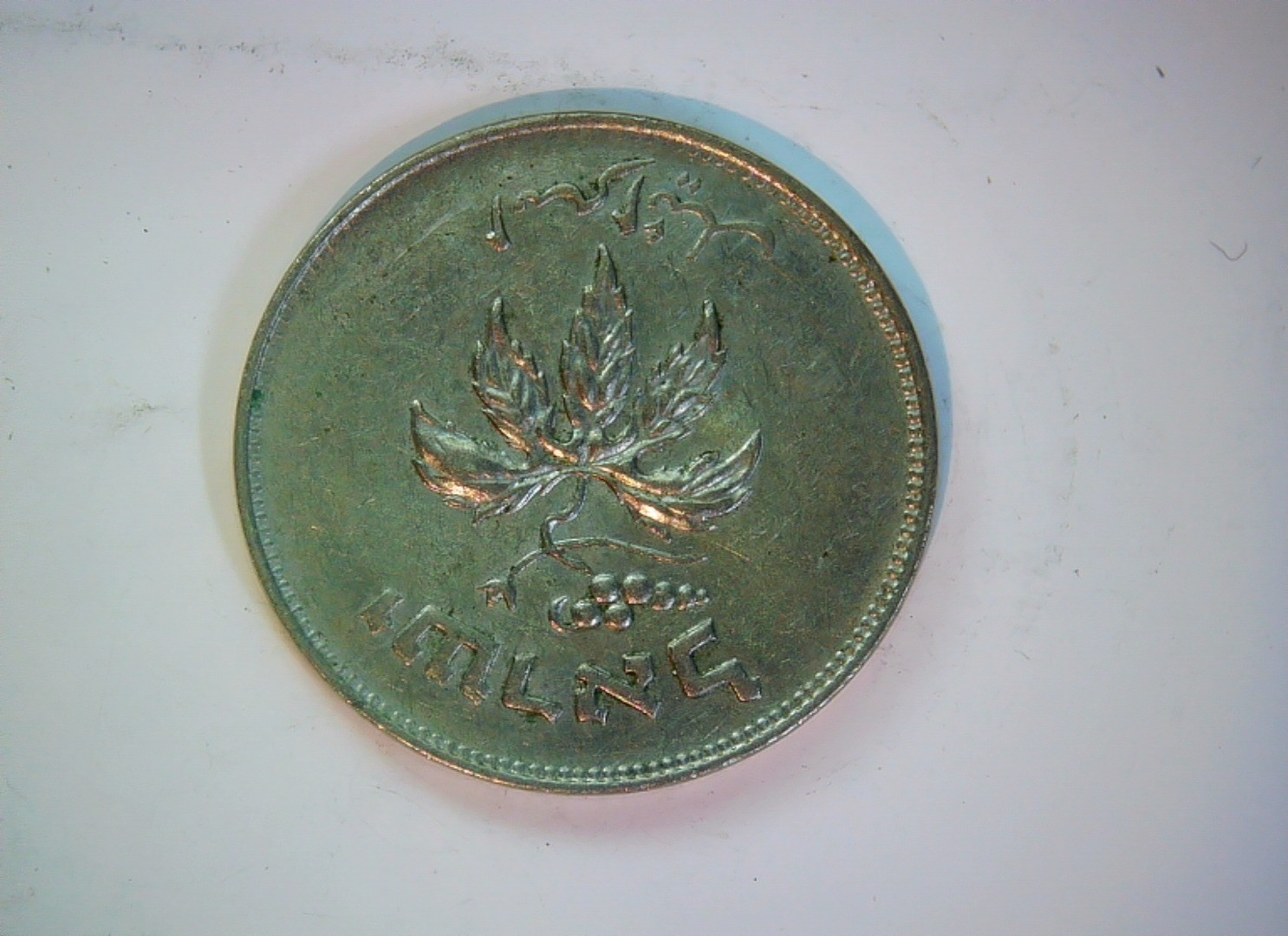 Israel 1949 50 Prutah Israel 50 Prutah (grape cluster / wreath) Coin