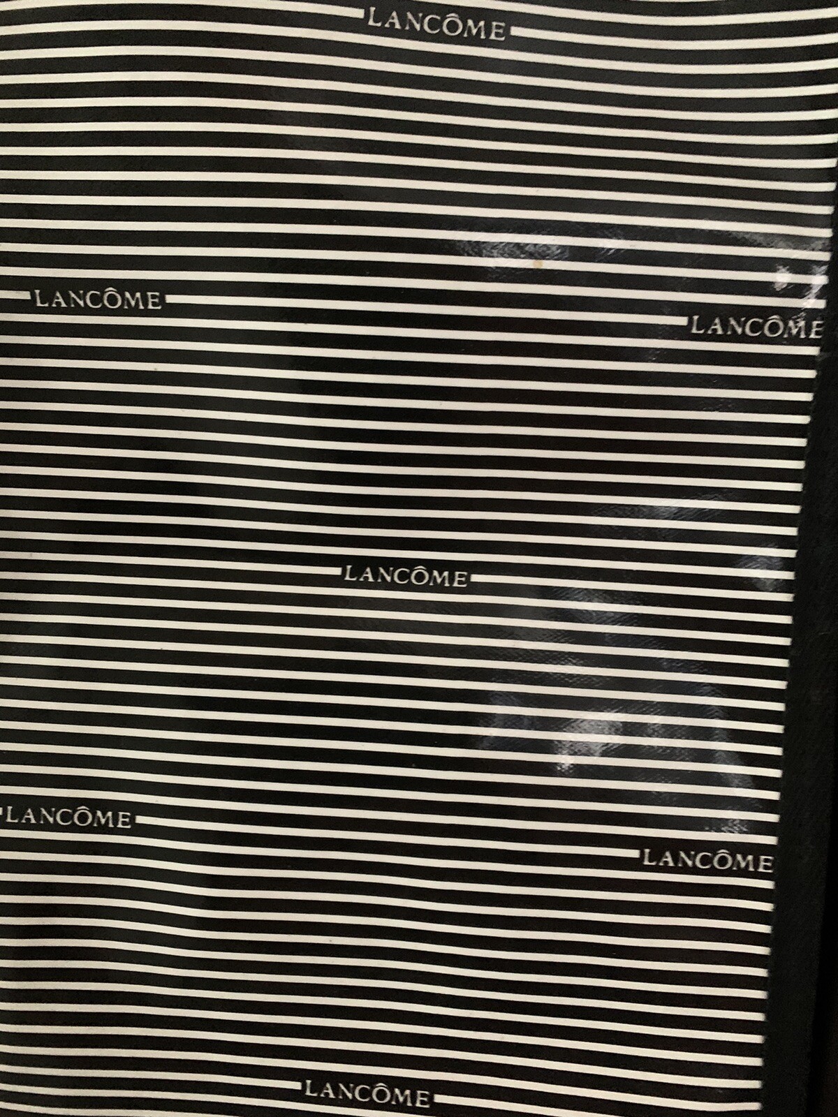 Lancôme Vinyl Garment Bag.