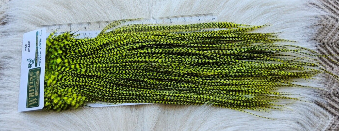 Whiting Saddle Hackle. Full Saddle,, Color; Grizzly Dyed Chart.  Free Shipping.