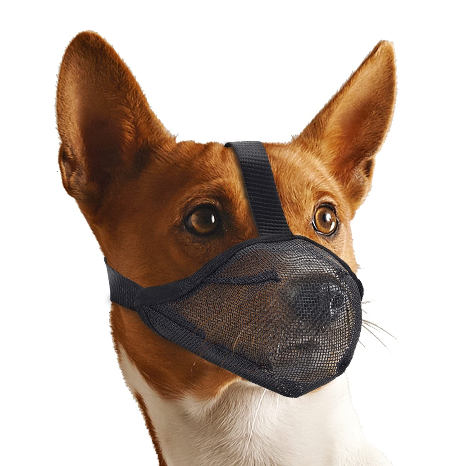 Mesh Dog Muzzle Extra Large Sized Dogs, Whongkidz Air Mesh Basket Muzzle