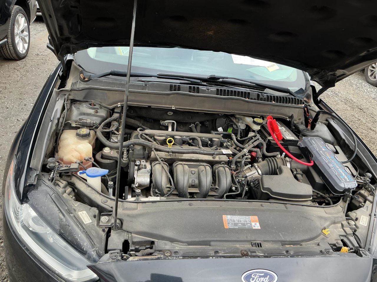 FUSION 2015 Glove Box 4951591
