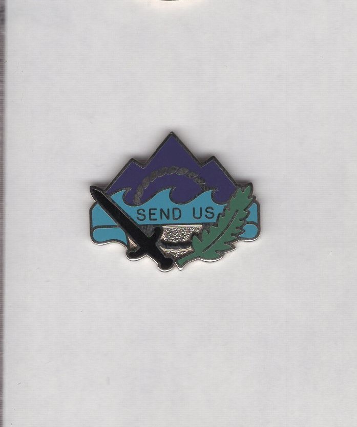 US Army 350th Civil Affairs Command crest DUI c/b clutchback badge D-22
