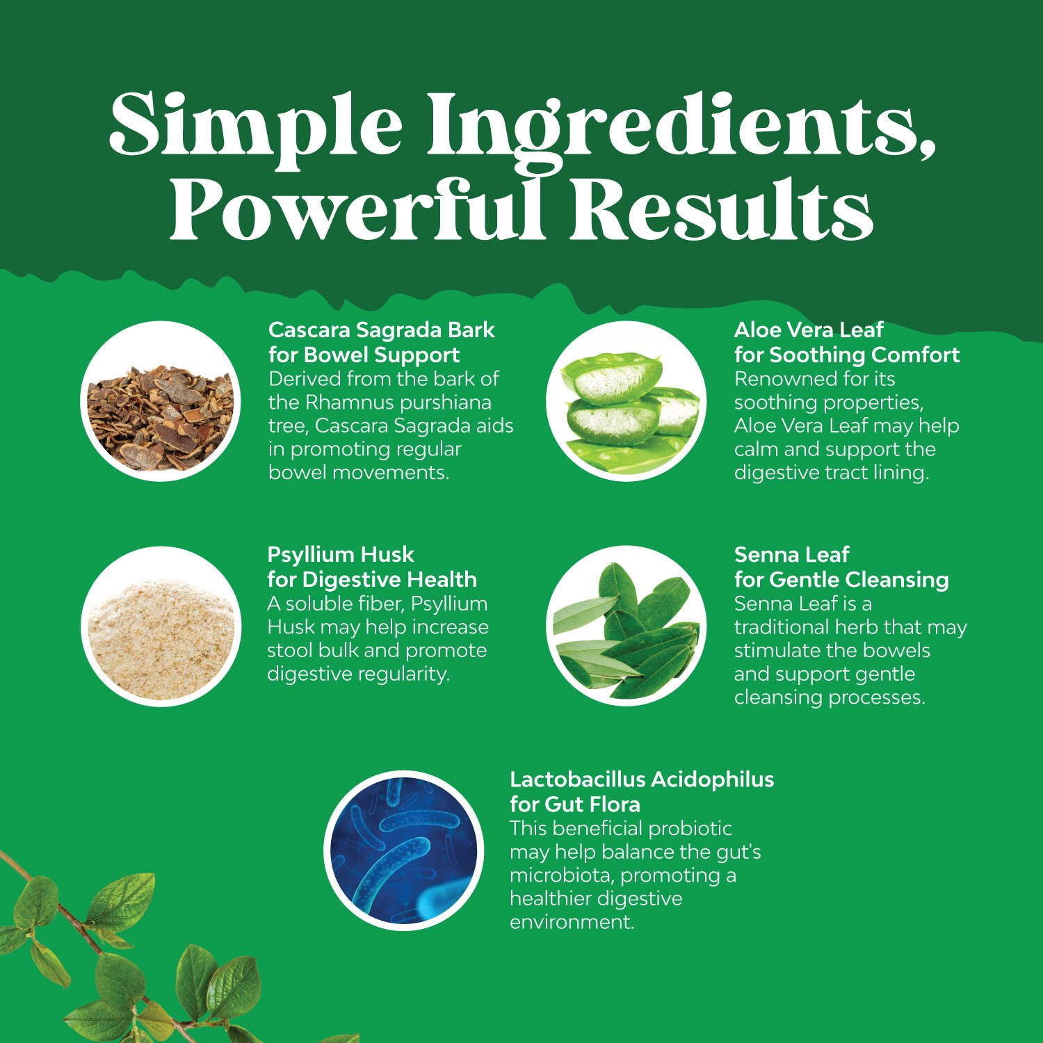 Herbal Laxative Capsules with Probiotics – Colon Cleanse and Digestive Support