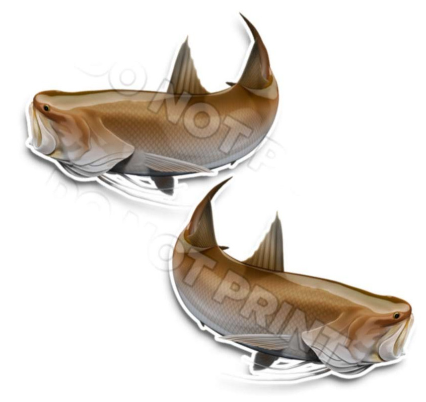 King Threadfin Salmon Decals Fish Stickers Tackle Box RV Truck Trailer -0189v2