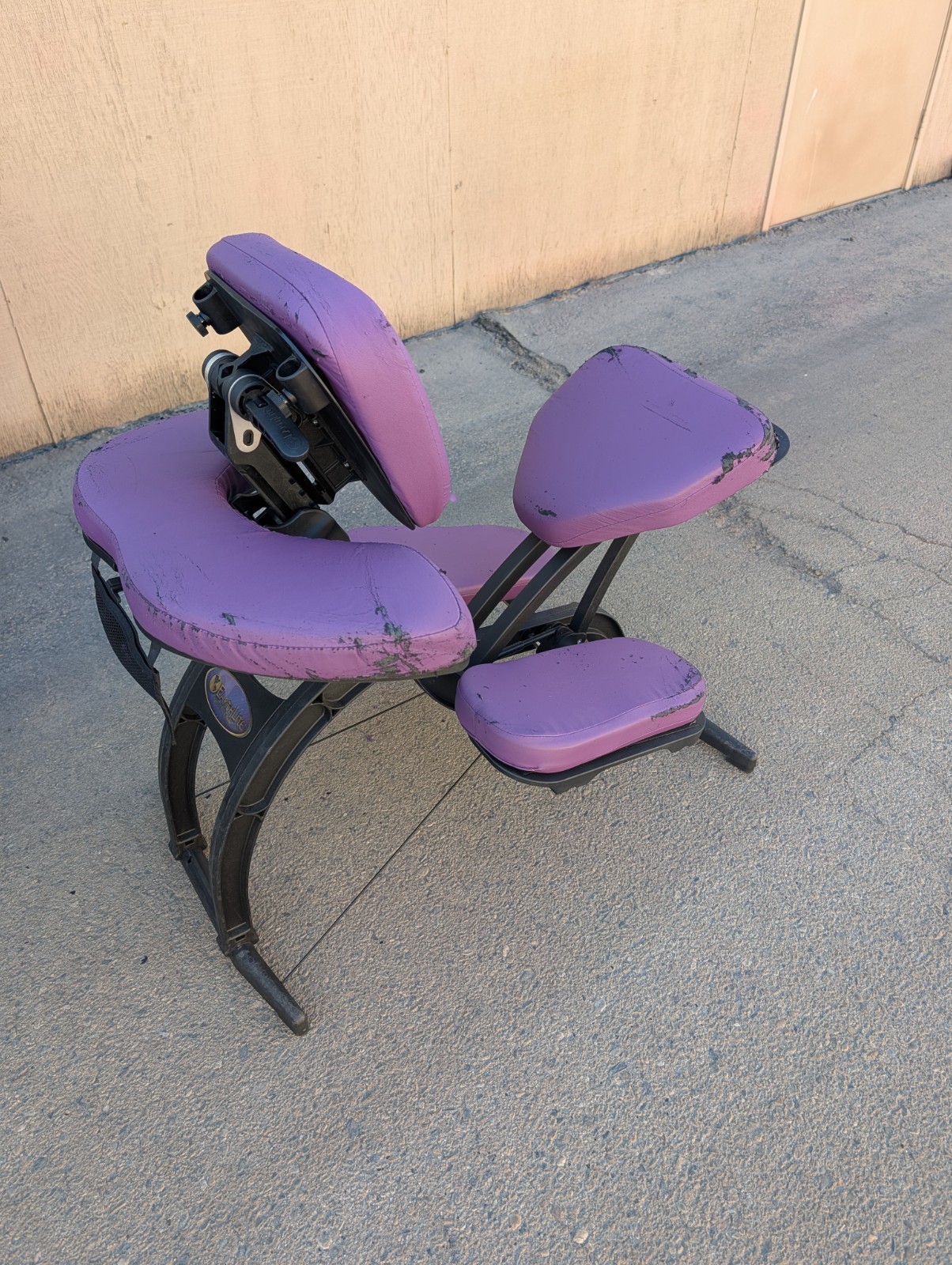 Earthlite Professional Portable Massage Chair w/ Carrying Case Needs Upholstery