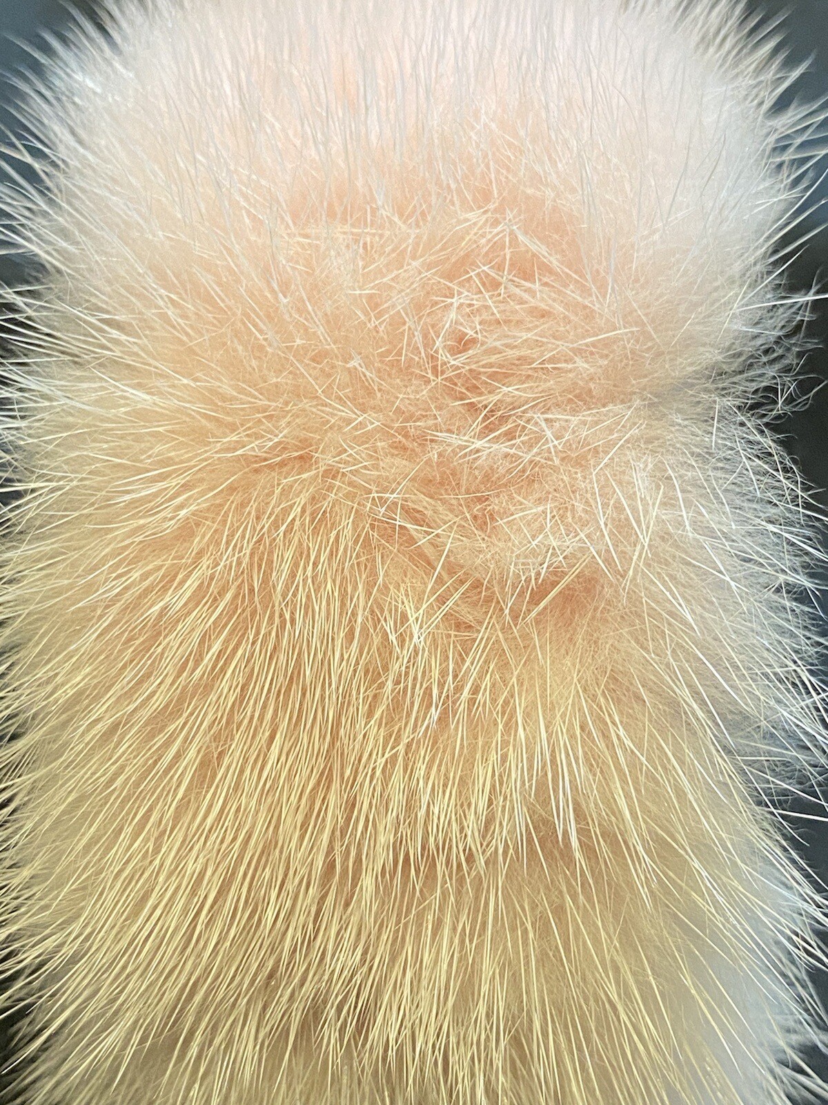 Artisan Soft Pink Mink Bangle Bracelet Silver Tone