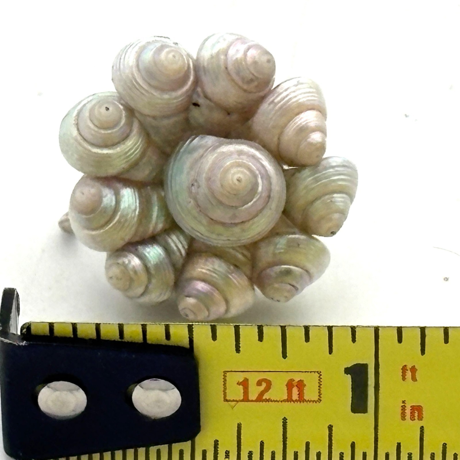 Vintage Pearlescent Cluster Round Statement Seashell Screw-Back Earrings .75"