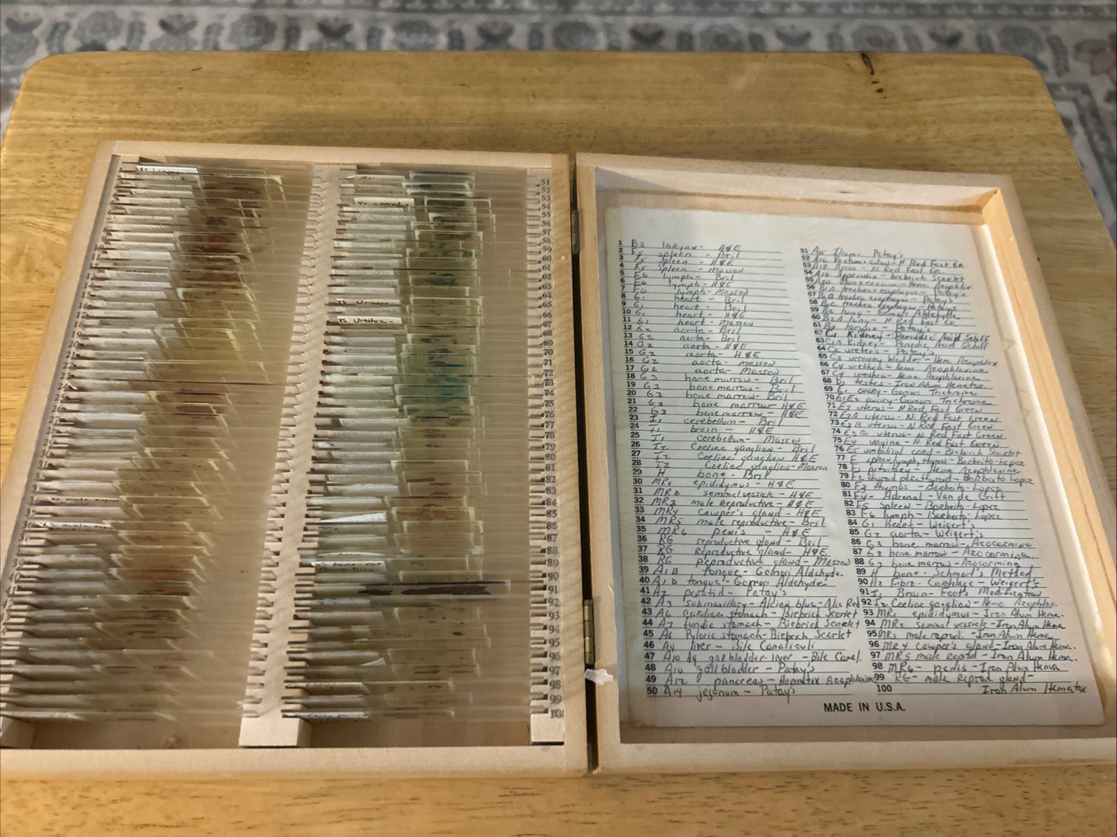 Vintage Rare 100 Microscopic Glass Slides Cat Mouse Human Spleen Heart Liver 70s