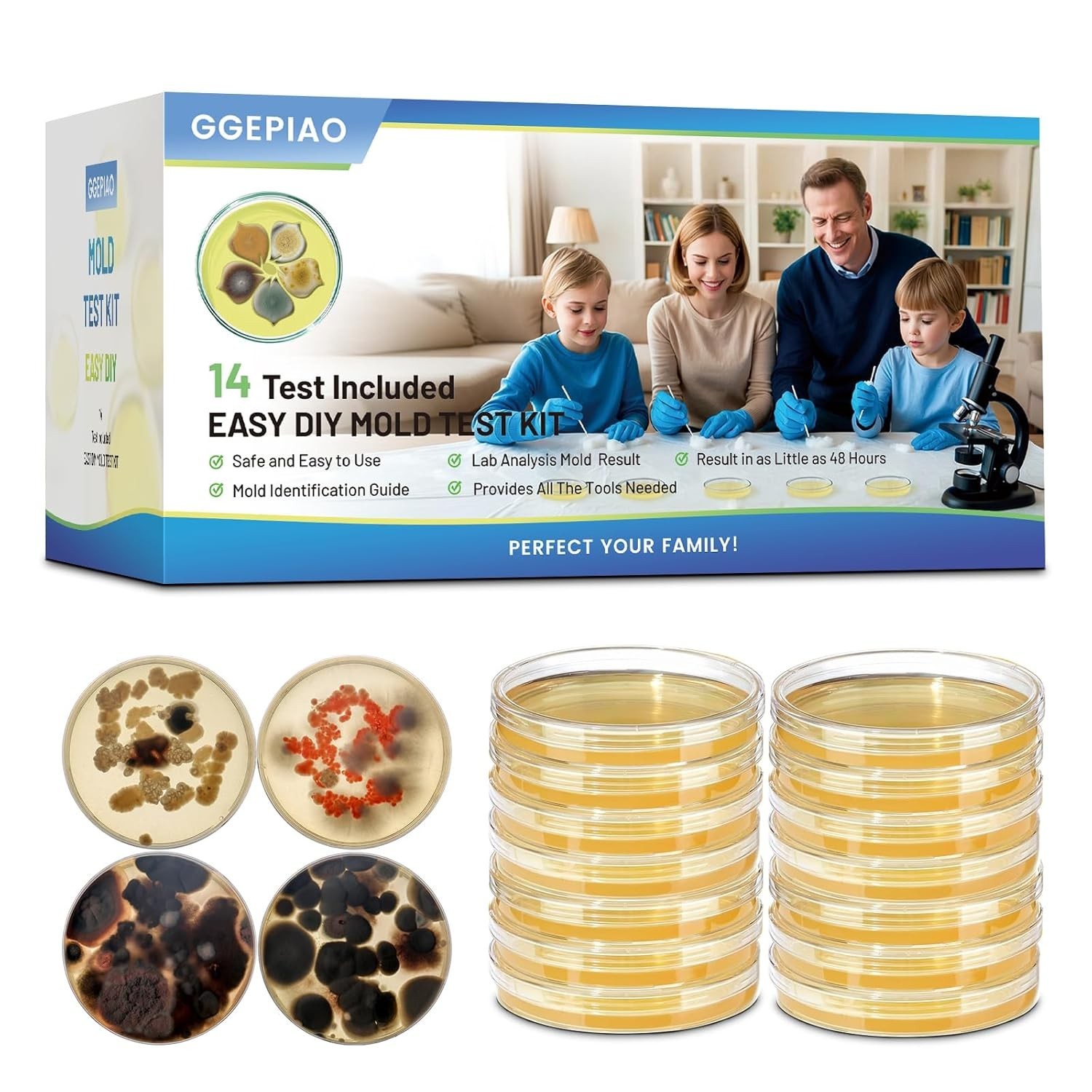Mold Kit with Comprehensive Guide & Fast Results: Protect Your Home Today