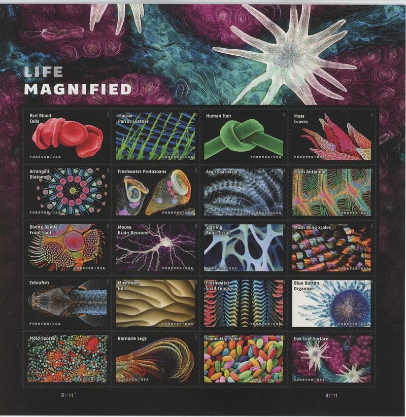 US SCOTT 5802 SHEET OF 20 LIFE MAGNIFIED STAMPS FOREVER MNH