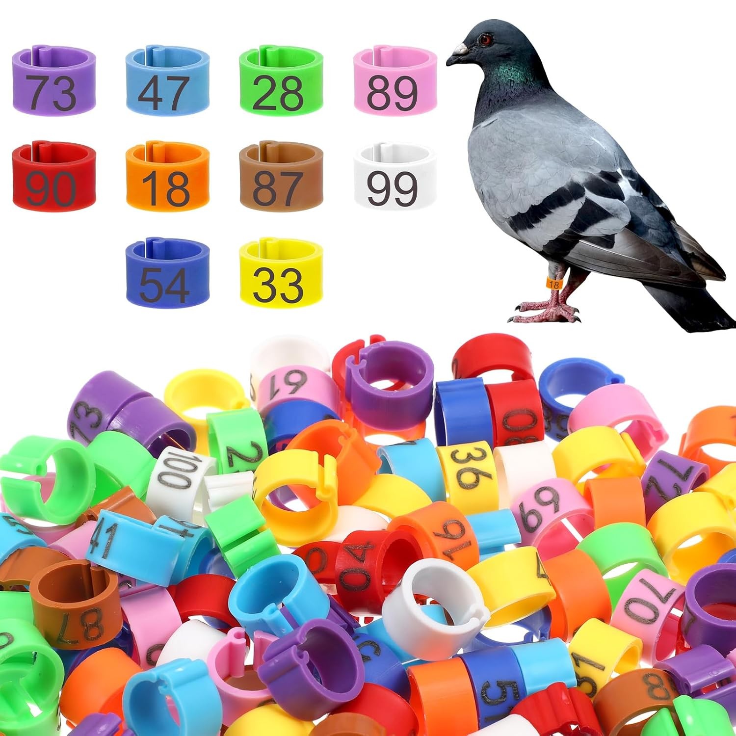 8mm Readable Numbered Bird Leg Rings, 10 Colors, Quail, Pigeon, Chicken