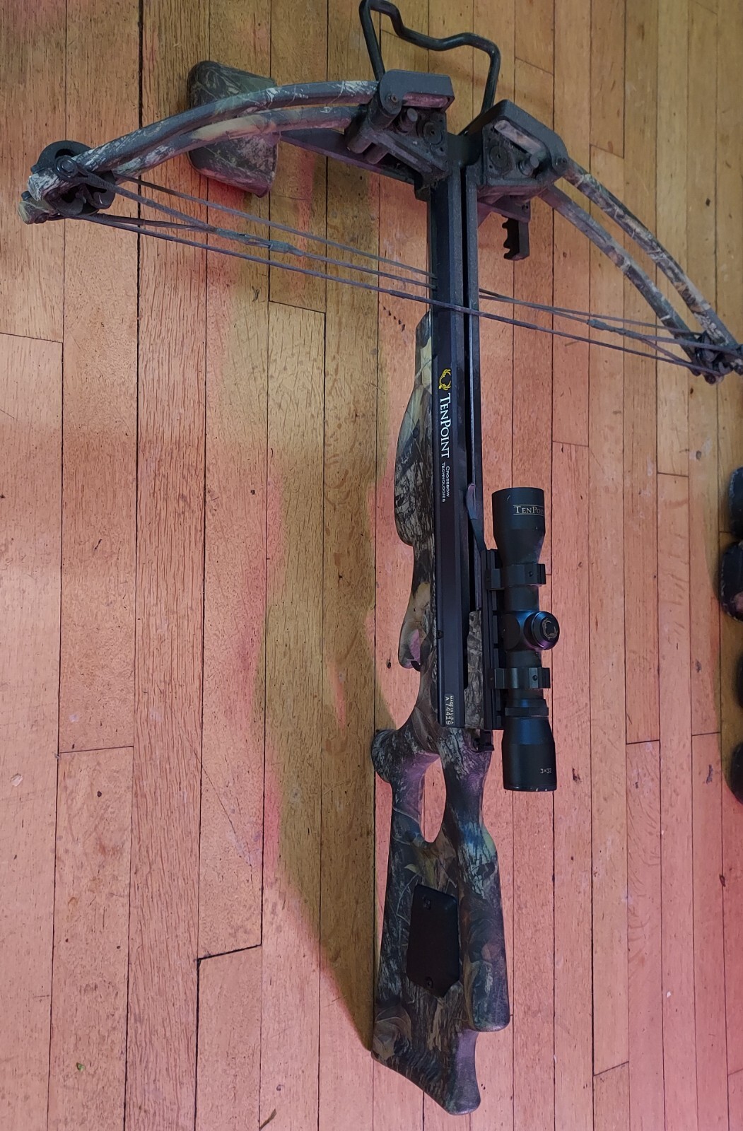 cross bows for sale ten point
