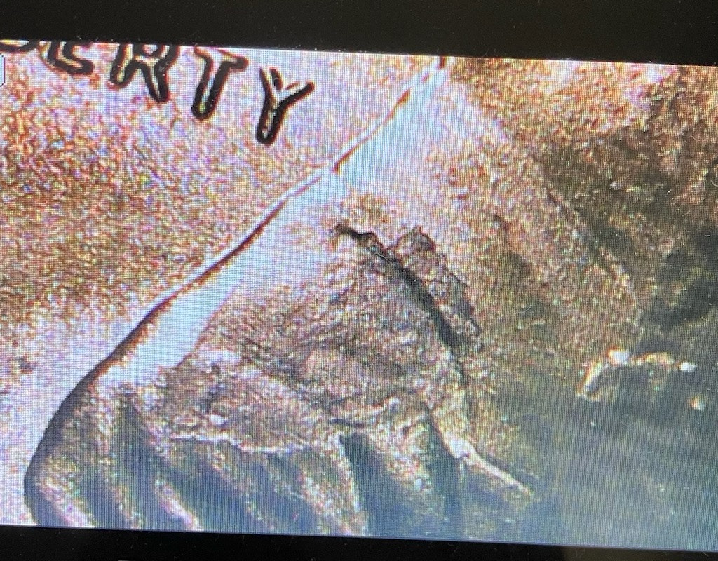 2024 BU Lincoln Shield Error Pennies Struck Through Grease,Plating Bubbles