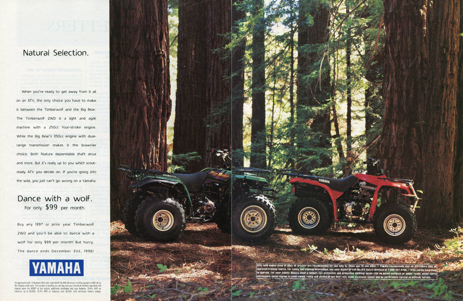1996 2 Page Print Ad of Yamaha Timberwolf & Big Bear Quad ATV Four Wheeler