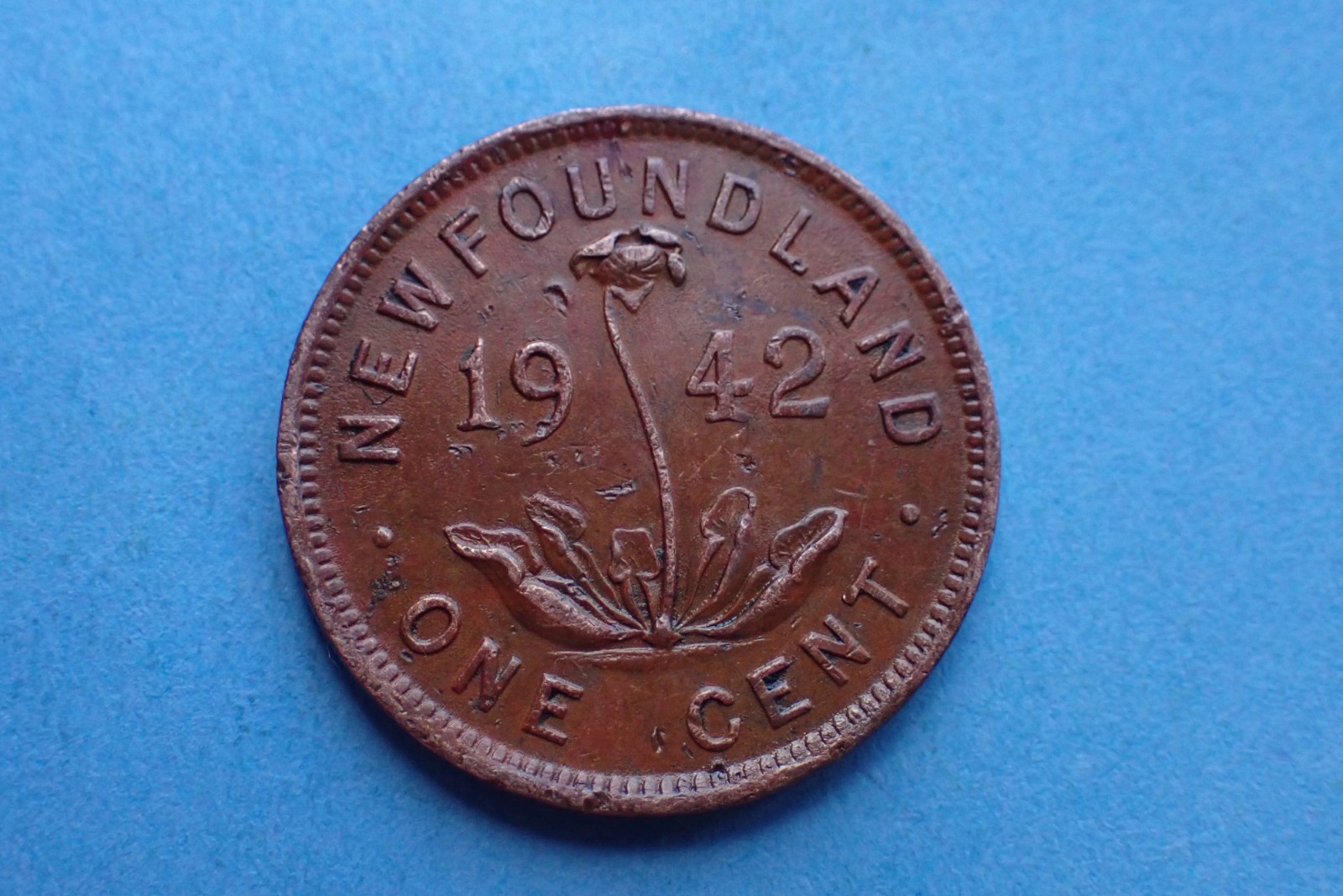 Newfoundland, One Cent 1942, see images.