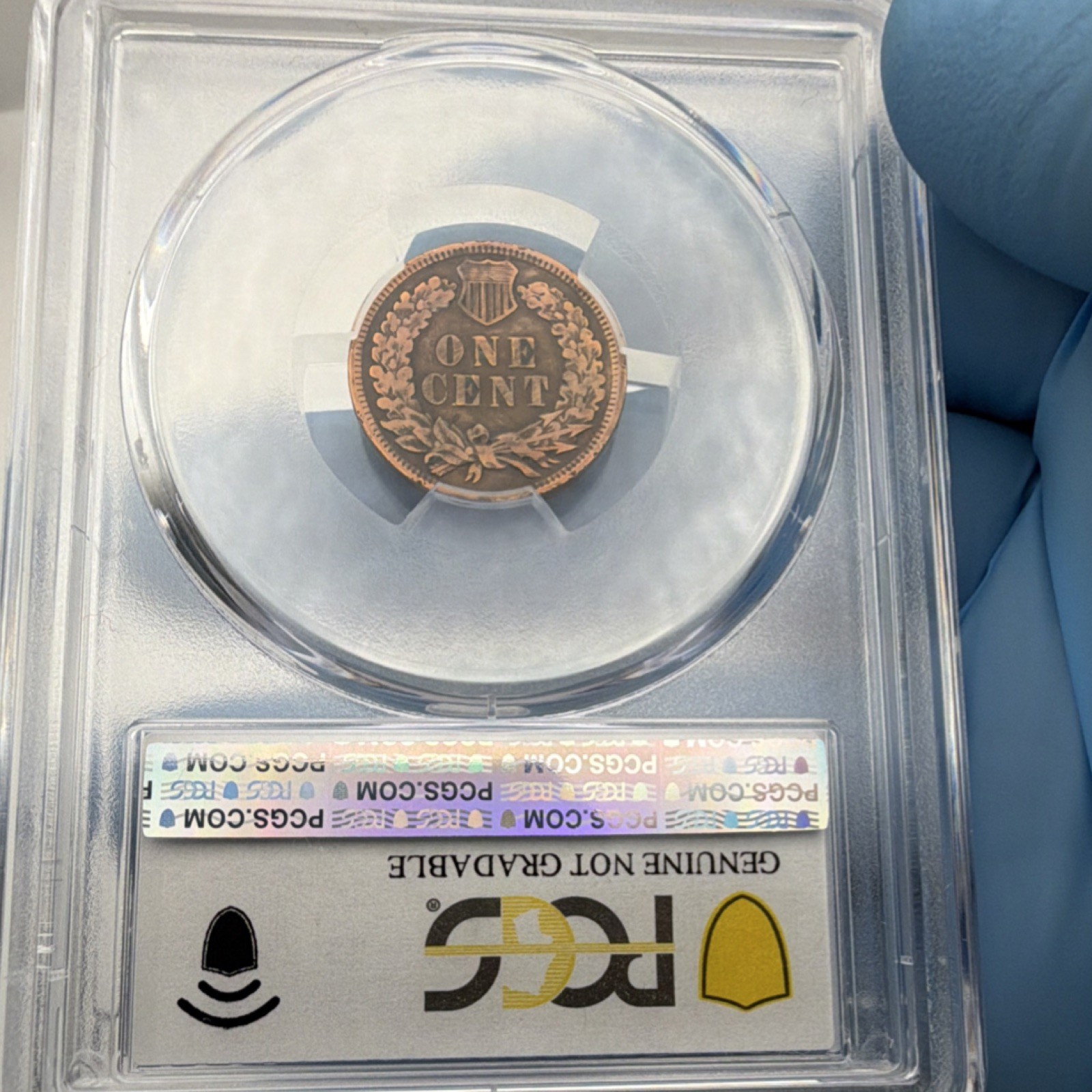 1908 Indian Head Small Cent PCGS Genuine Ex-Jewelry F Detail Bronze Coin