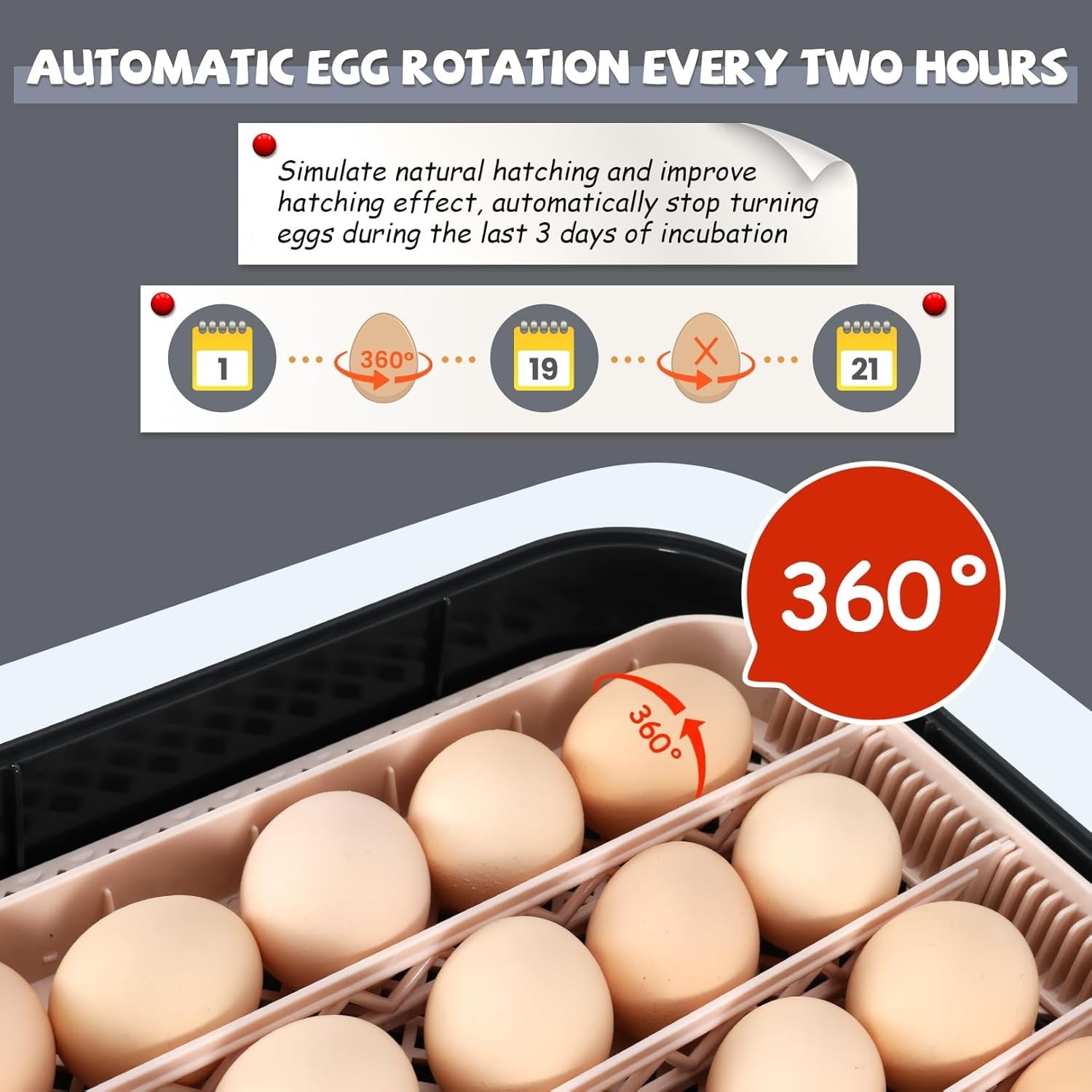 70 Egg Incubator with Automatic Egg Turning & Temperature Humidification Control