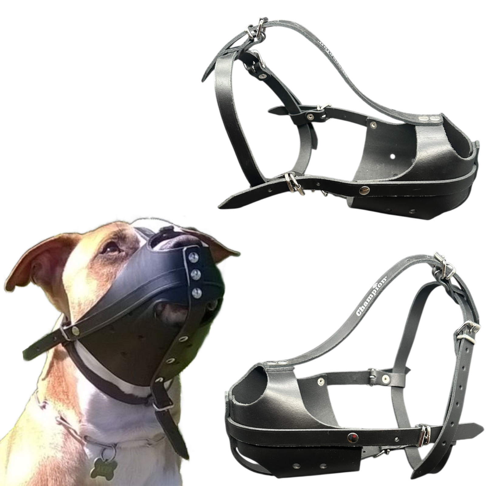 New Strong Real leather Dog muzzle for American Staffordshire Terrier  Amstaff