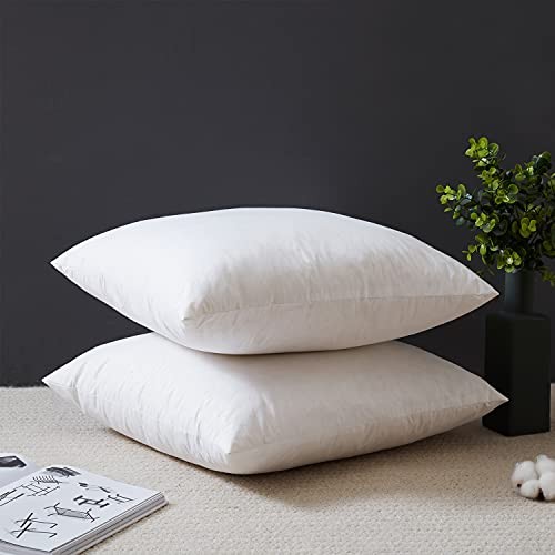 Down Feather Throw Pillow Inserts 20x20 Set of 2 20 x 20" 2 Count（Pack of 1）