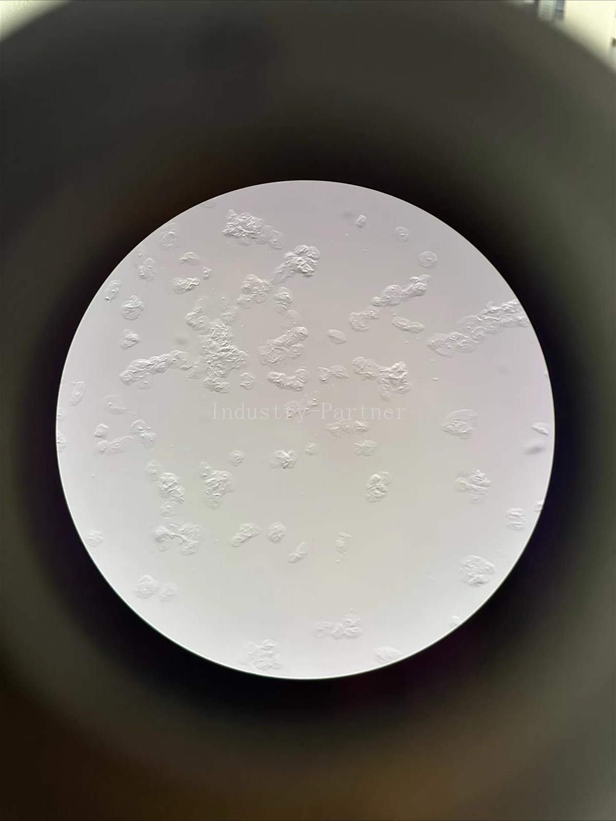 OLYMPUS U-CTR30-2 Microscope Trinocular Head Only.