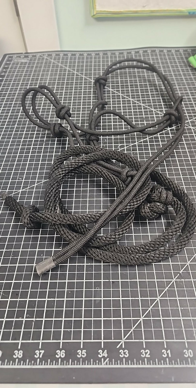 Nylon/ Cotton 4 point Headstall halter  lead rope black 6ft rope