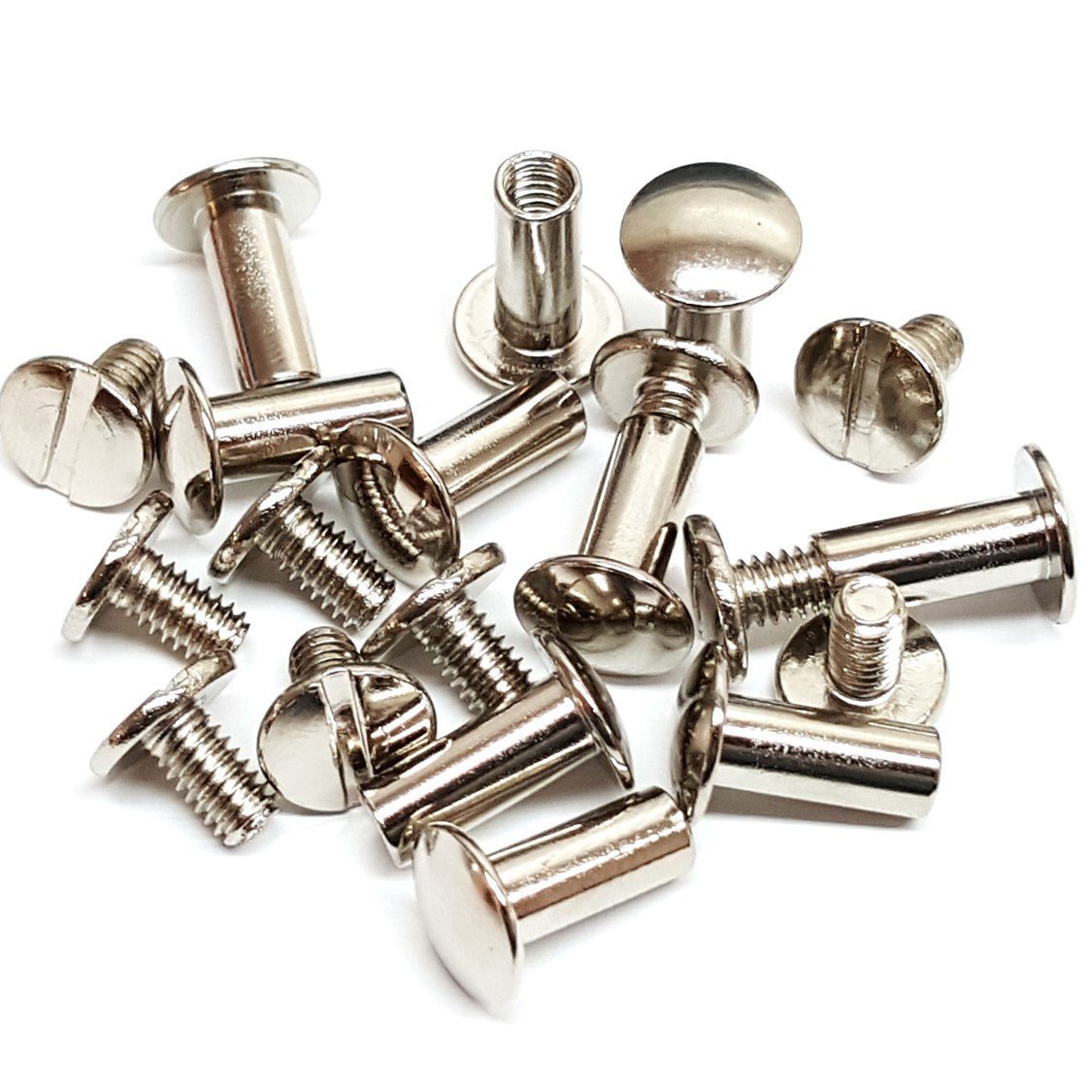 Wholesale  packs of 1/2" Nickel Plated chicago screws Horse Tack