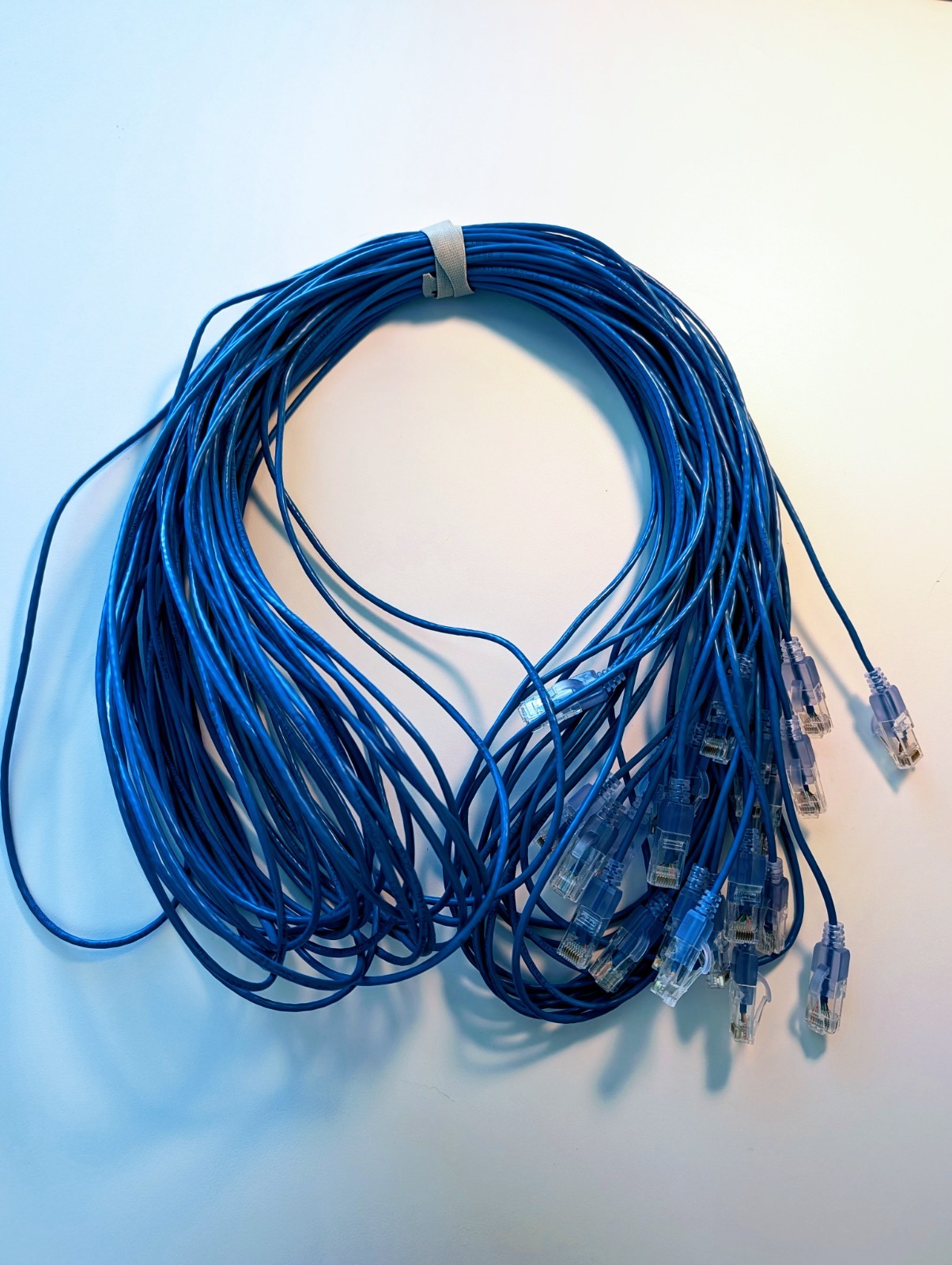 Ethernet network patch cables 10 ft - (12 pieces) blue