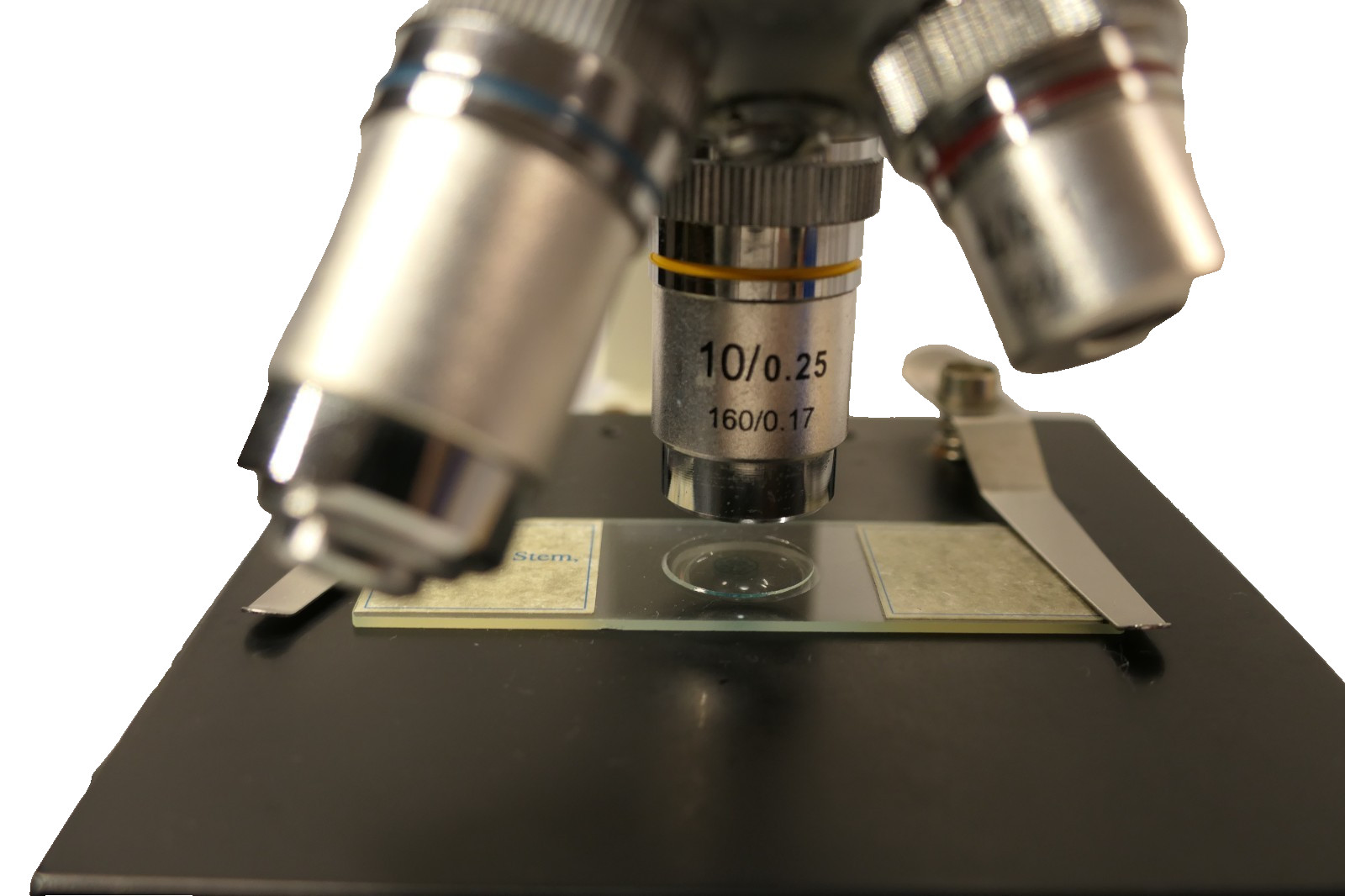 Fisher Scientific S90004 Student Microscope
