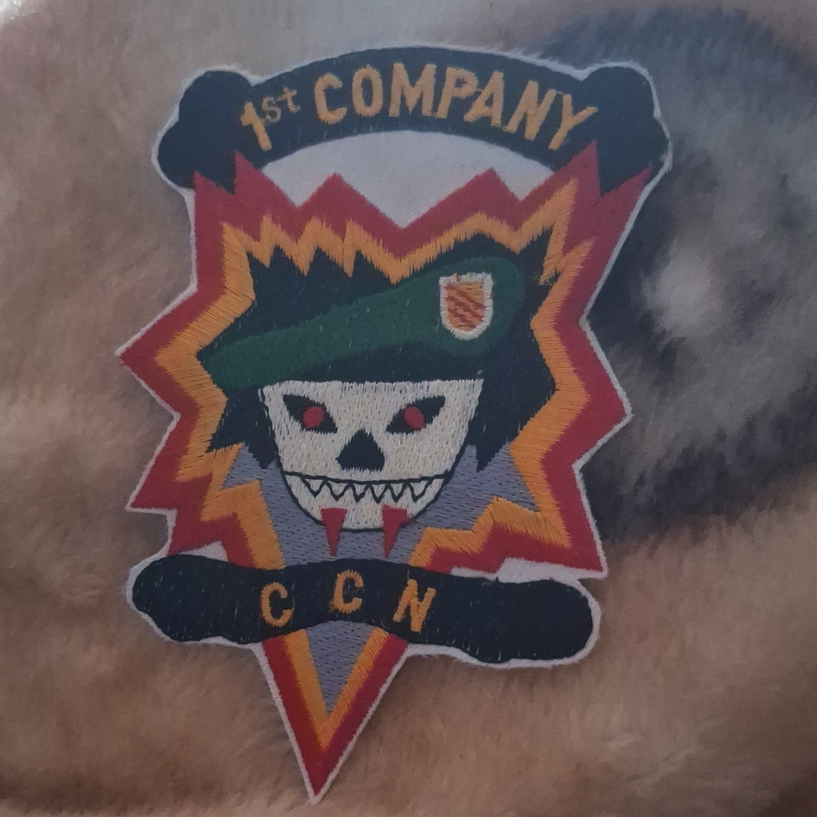 1st Company CCN Vietnam War Militaria Reproduction Patch for Collectors Display