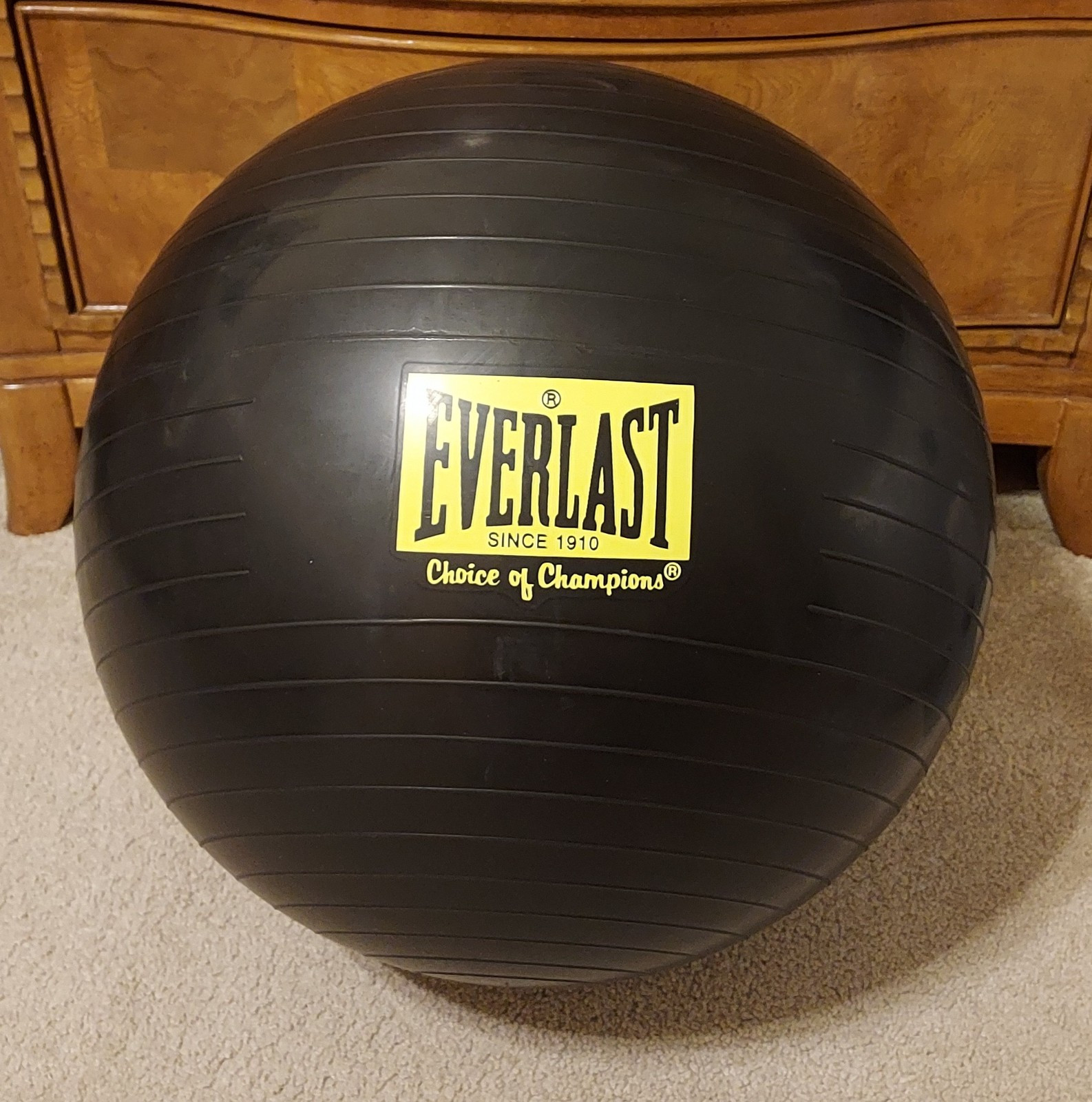 Everlast Exercise Stability Ball 45cm - 49cm