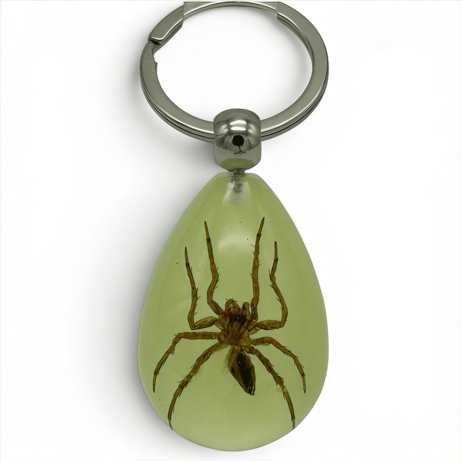 Real Spider Glow in Dark Resin Keychain Taxidermy Collectible Oddity Gift