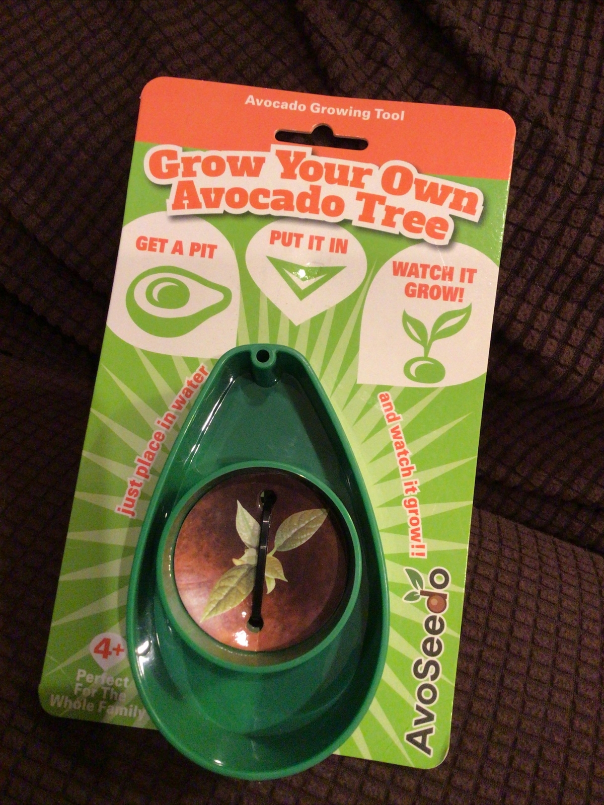 NEW AvoSeedo Avocado Tree Growing Bowl Pit Grower Boat Grow Your Own In Water