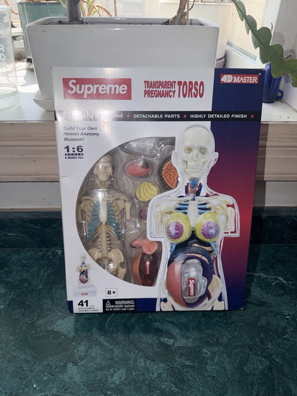 RARE Supreme 4D Master Transparent Torso Anatomy Model 36 Parts FW18 - SEALED