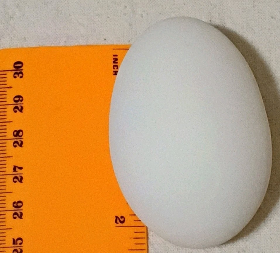 Set Of 10 Polymer Chicken Eggs B9